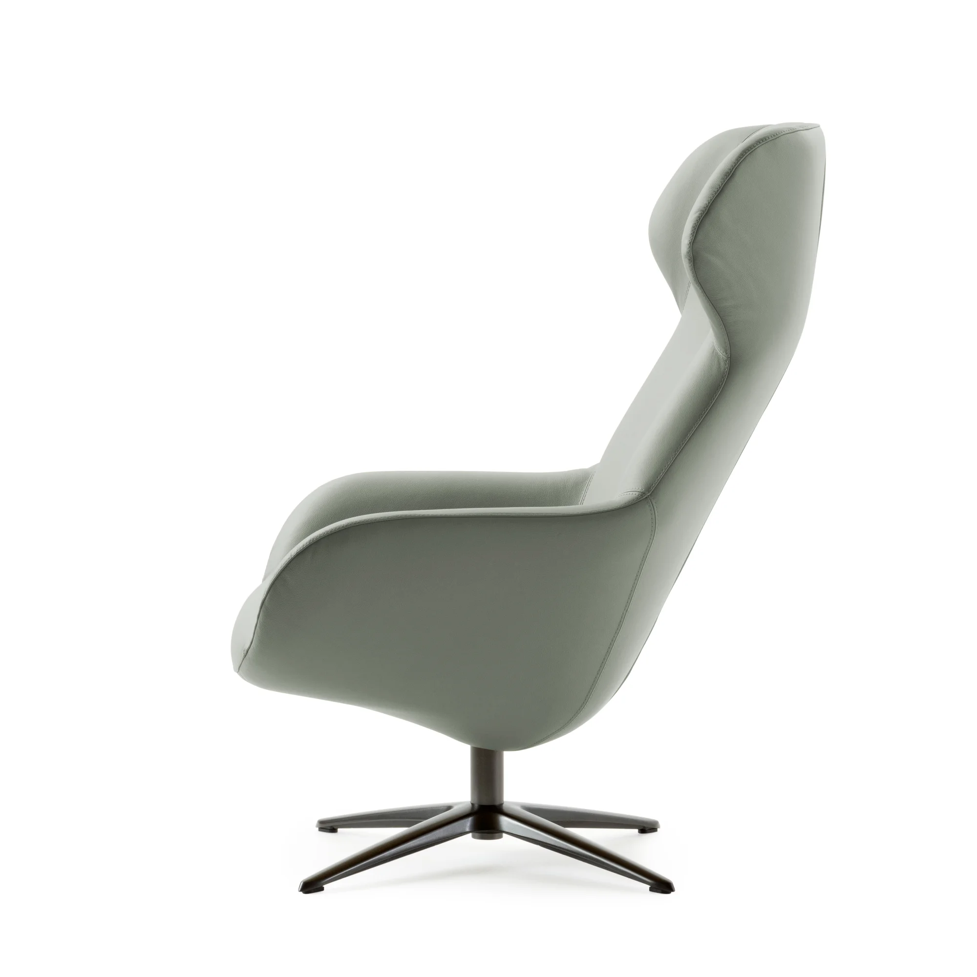 Pode SPOT THREE Sessel im FUSION-Leder 6110 thyme in der Seiten-Ansicht